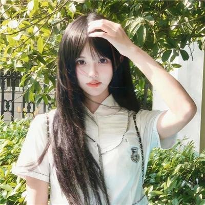 野兔子普查